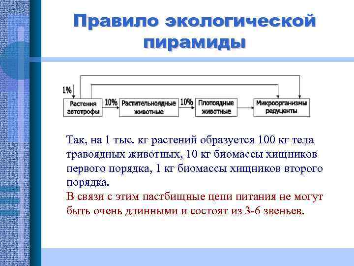 Правило экологической пирамиды Так, на 1 тыс. кг растений образуется 100 кг тела травоядных