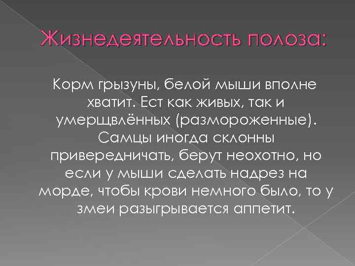Жизнедеятельность полоза: Корм грызуны, белой мыши вполне хватит. Ест как живых, так и умерщвлённых