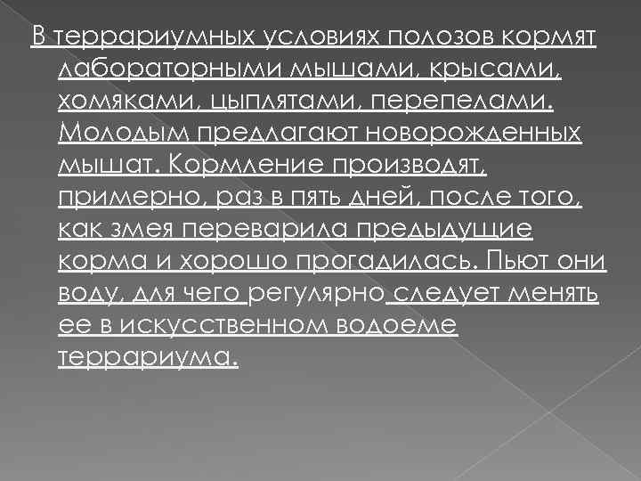 В террариумных условиях полозов кормят лабораторными мышами, крысами, хомяками, цыплятами, перепелами. Молодым предлагают новорожденных