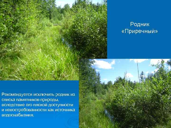 Родник «Приречный» Рекомендуется исключить родник из списка памятников природы, вследствие его плохой доступности и