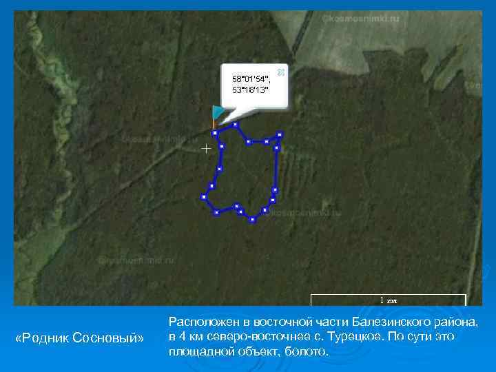  «Родник Сосновый» Расположен в восточной части Балезинского района, в 4 км северо-восточнее с.