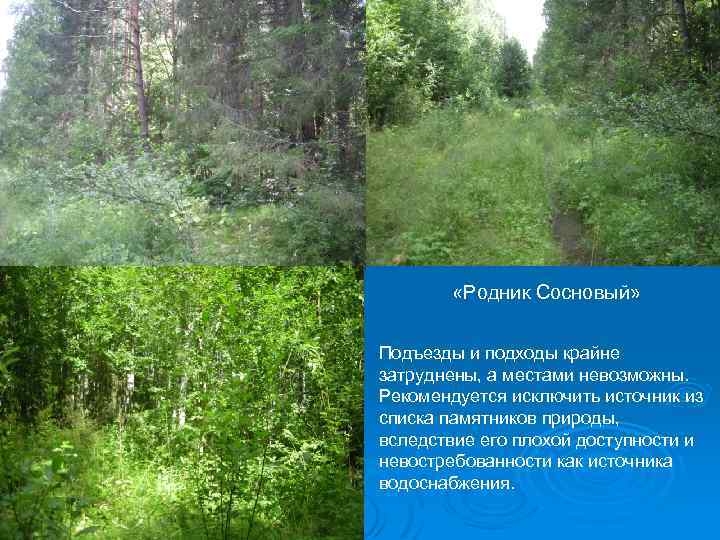  «Родник Сосновый» Подъезды и подходы крайне затруднены, а местами невозможны. Рекомендуется исключить источник