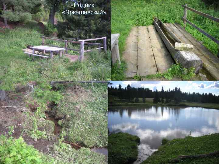 Родник «Эркешевский» 