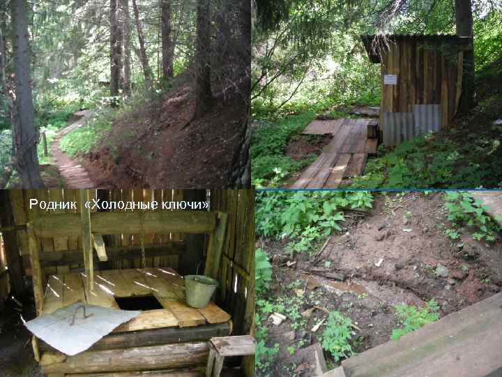 Родник «Холодные ключи» 