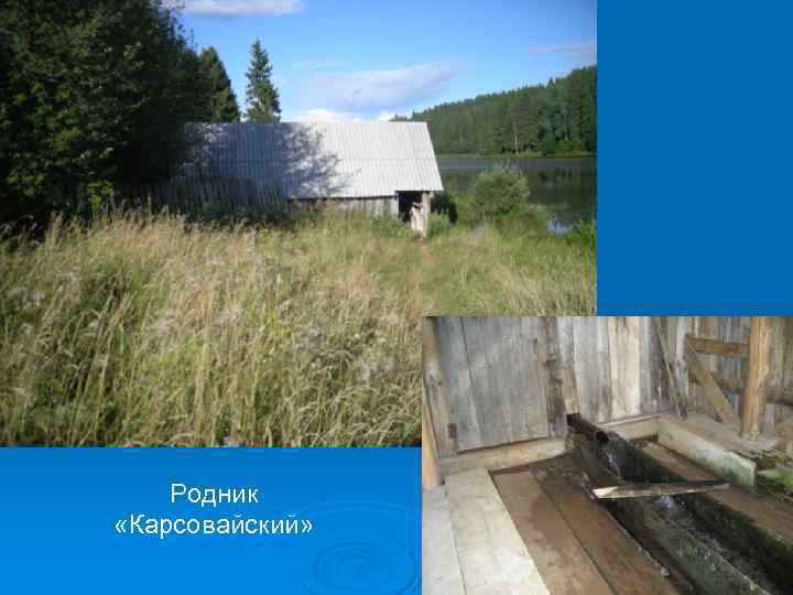 Родник «Карсовайский» 