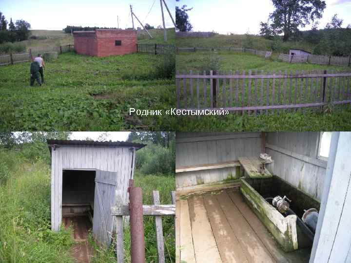 Родник «Кестымский» 