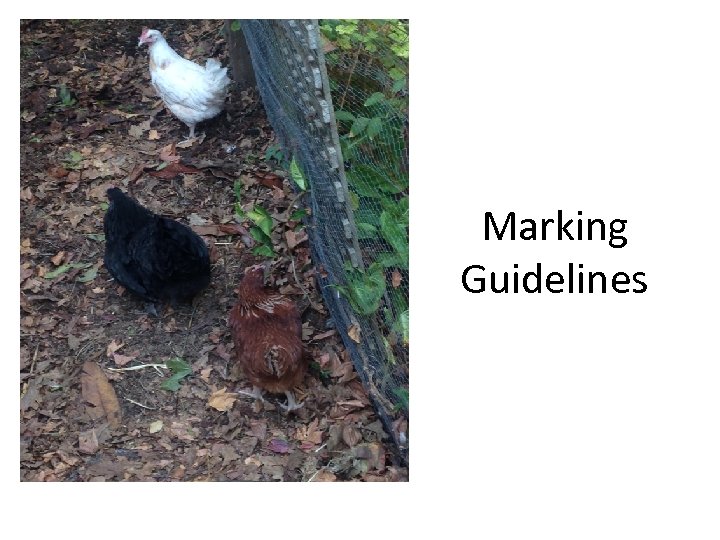  • Please cons Marking Guidelines 