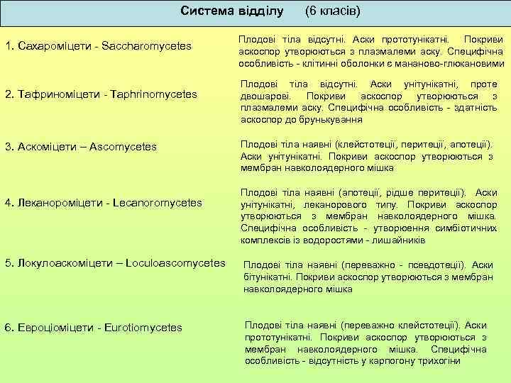 Система відділу 1. Сахароміцети - Saccharomycetes 2. Тафриноміцети - Taphrinomycetes 3. Аскоміцети – Ascomycetes