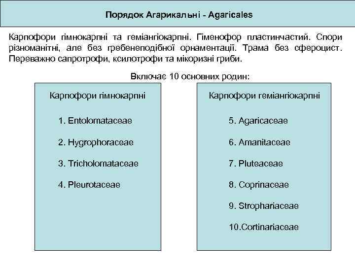 Порядок Агарикальні - Agaricales Карпофори гімнокарпні та геміангіокарпні. Гіменофор пластинчастий. Спори різноманітні, але без