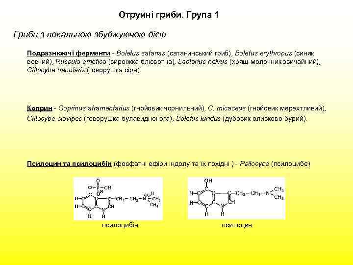Отруйні гриби. Група 1 Гриби з локальною збуджуючою дією Подразнюючі ферменти - Boletus satanas
