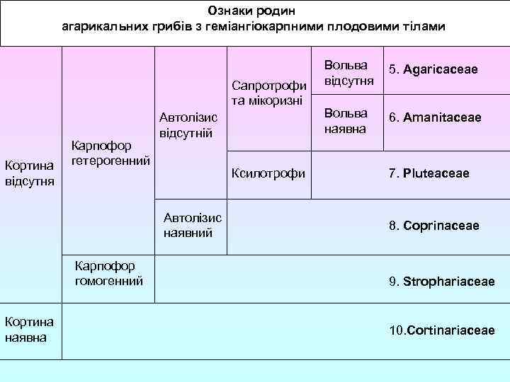 Ознаки родин агарикальних грибів з геміангіокарпними плодовими тілами Сапротрофи та мікоризні Кортина відсутня Карпофор