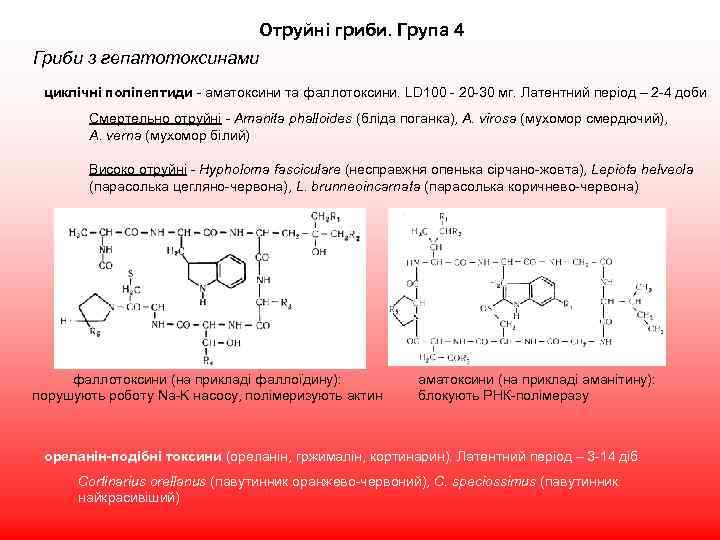 Отруйні гриби. Група 4 Гриби з гепатотоксинами циклічні поліпептиди - аматоксини та фаллотоксини. LD