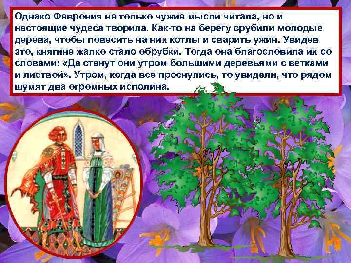 Однако Феврония не только чужие мысли читала, но и настоящие чудеса творила. Как-то на