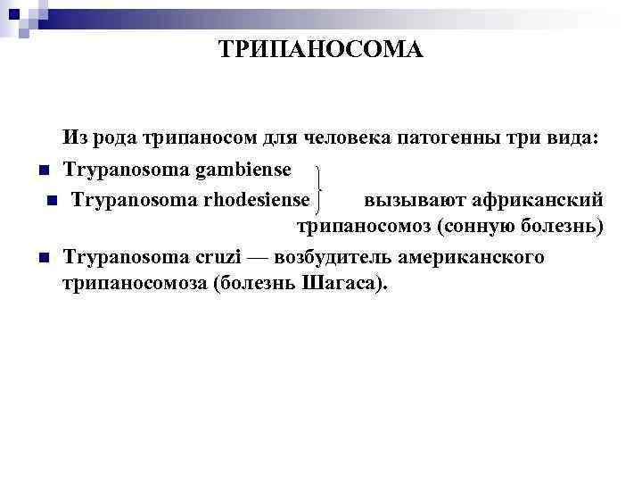 Простой n. Трипаносома классификация. Трипаносома систематика. Систематика трипаносомы гамбийской. Трипаносома таксономия.