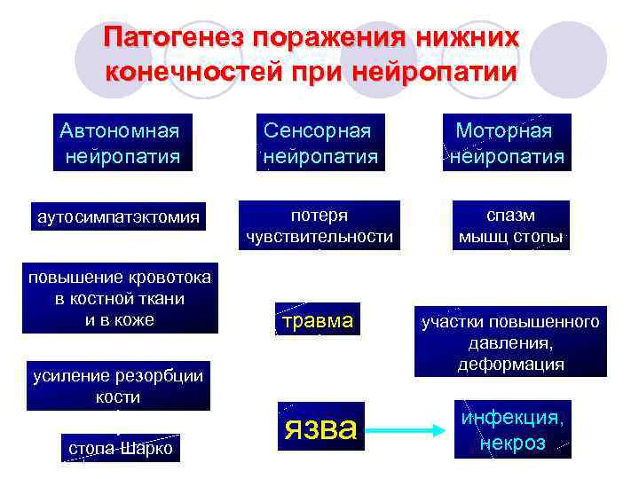 Патогенез поражения нижних конечностей при нейропатии Автономная нейропатия Сенсорная нейропатия Моторная нейропатия аутосимпатэктомия потеря