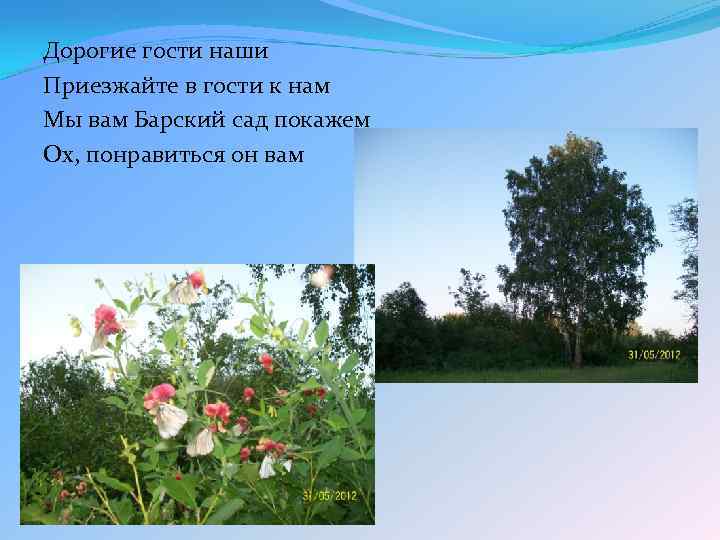 Дорогие гости наши Приезжайте в гости к нам Мы вам Барский сад покажем Ох,
