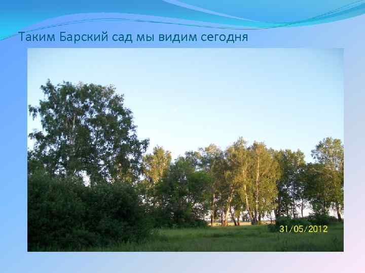 Таким Барский сад мы видим сегодня 
