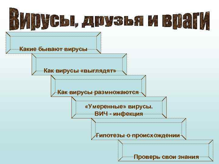 Какие бывают вирусы Как вирусы «выглядят» Как вирусы размножаются «Умеренные» вирусы. ВИЧ - инфекция