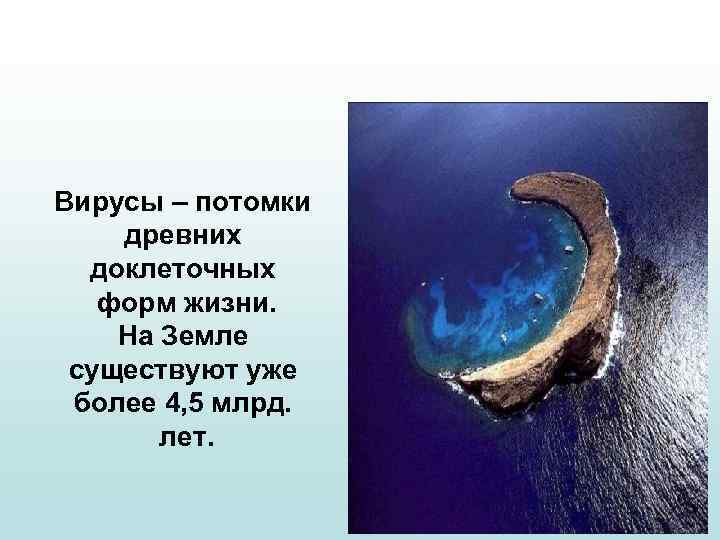 Вирусы – потомки древних доклеточных форм жизни. На Земле существуют уже более 4, 5