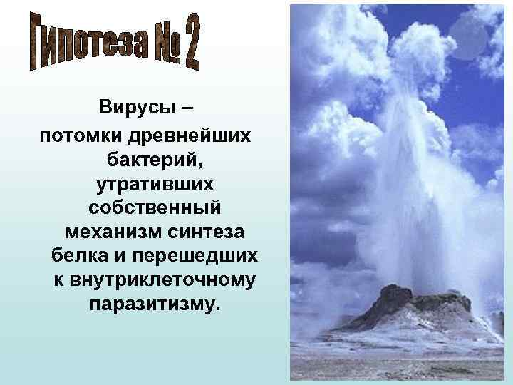 Вирусы – потомки древнейших бактерий, утративших собственный механизм синтеза белка и перешедших к внутриклеточному