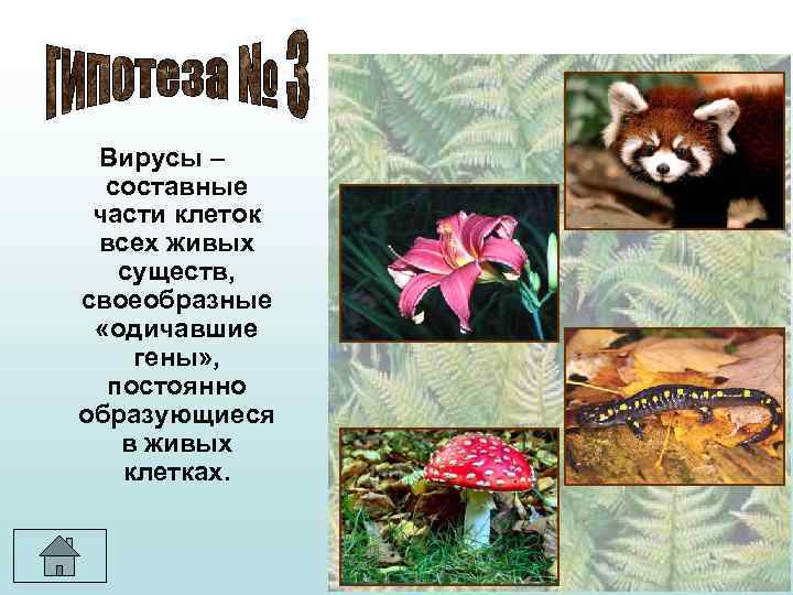 Вирусы – составные части клеток всех живых существ, своеобразные «одичавшие гены» , постоянно образующиеся