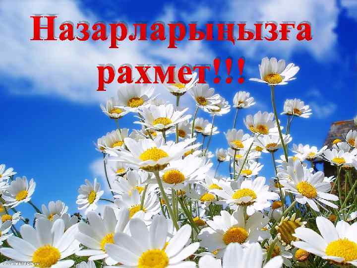 Назарларыңызға рахмет!!! 