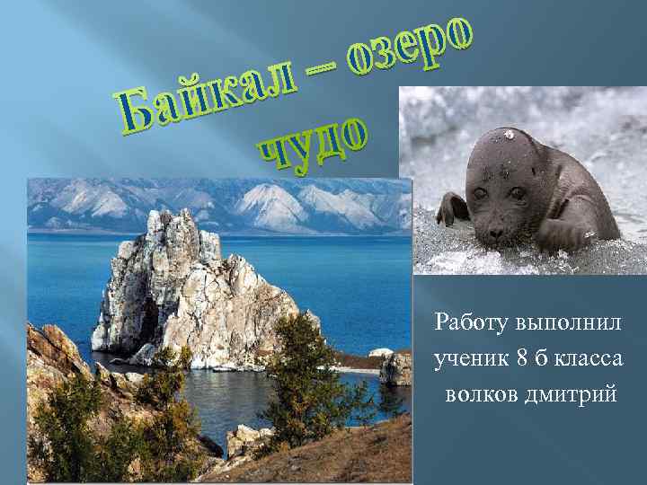 Работу выполнил ученик 8 б класса волков дмитрий 