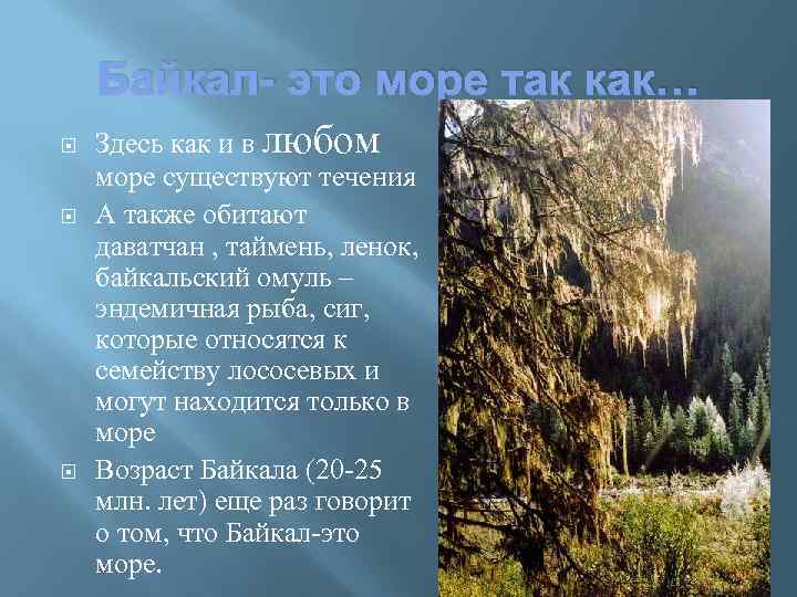 Байкал- это море так как… Здесь как и в любом море существуют течения А