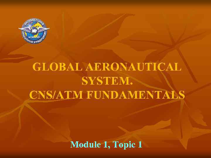 GLOBAL AERONAUTICAL SYSTEM. CNS/ATM FUNDAMENTALS Module 1, Topic 1 