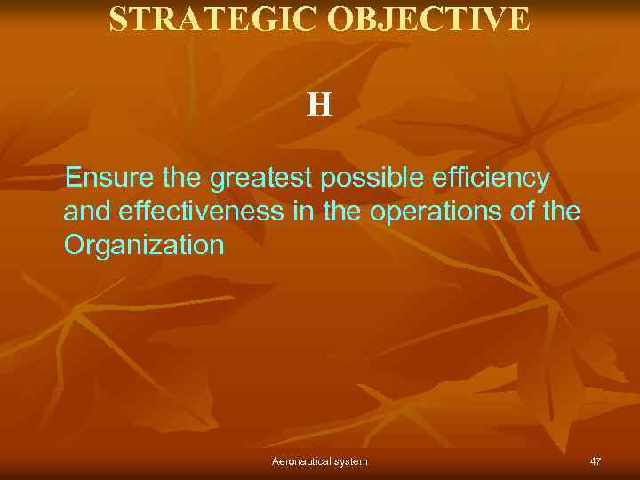 STRATEGIC OBJECTIVE H Ensure the greatest possible efficiency and effectiveness in the operations of