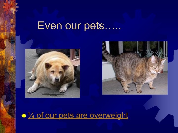 Even our pets…. . ®¼ of our pets are overweight 