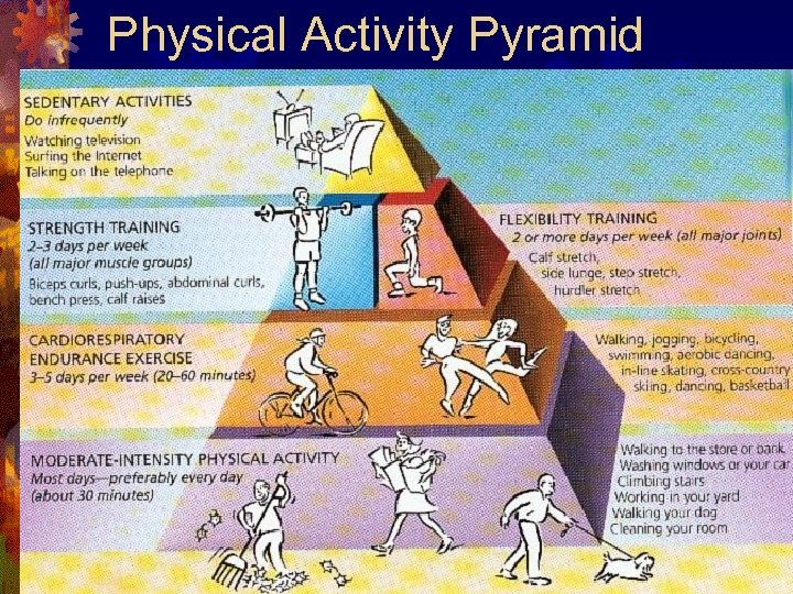 Physical Activity Pyramid 