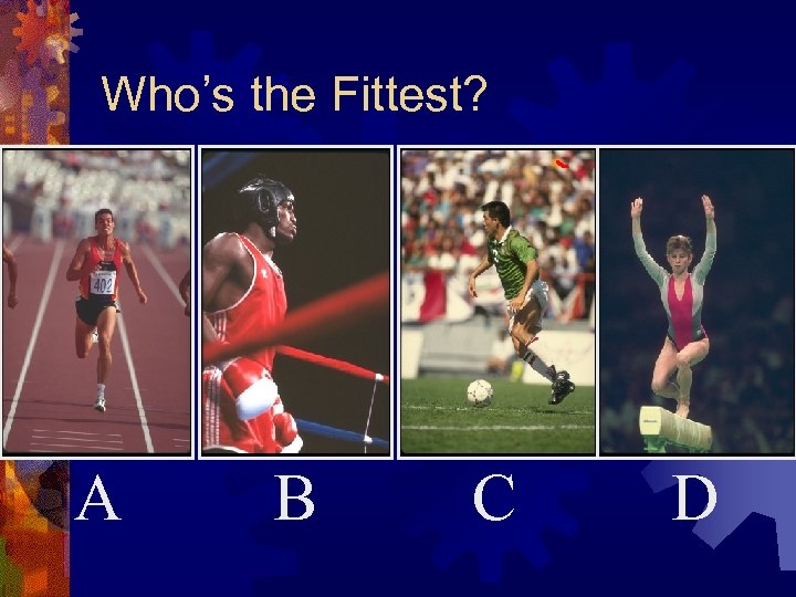 Who’s the Fittest? A B C D 