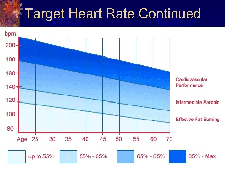 Target Heart Rate Continued 