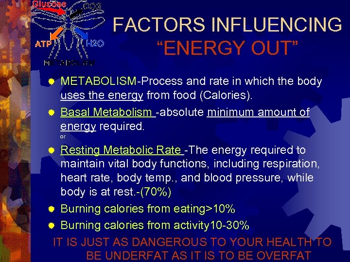 FACTORS INFLUENCING “ENERGY OUT” METABOLISM-Process and rate in which the body uses the energy