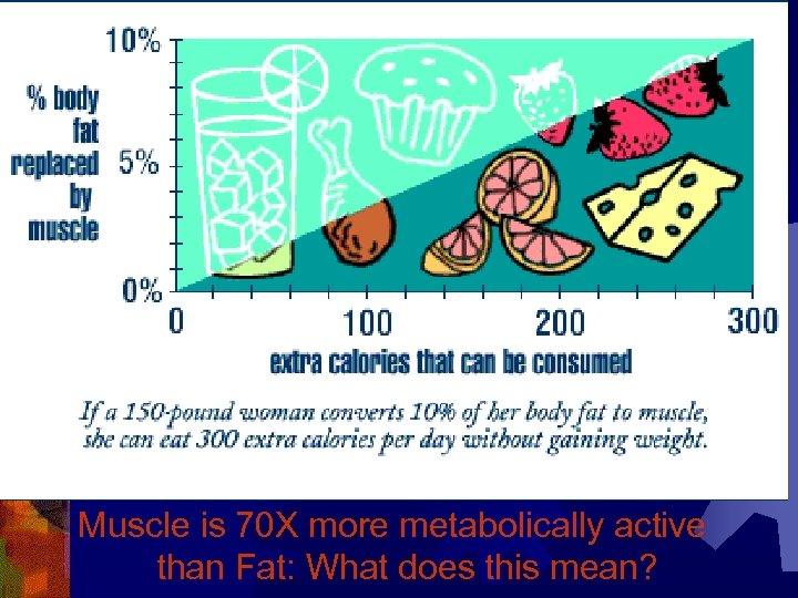 Muscle is 70 X more metabolically active than Fat: What does this mean? 