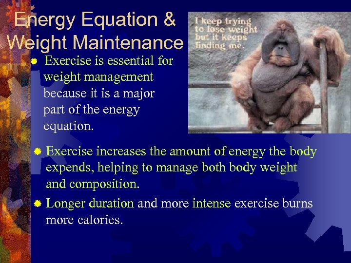 Energy Equation & Weight Maintenance ® Exercise is essential for weight management because it