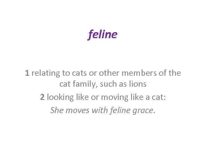 feline 1 relating to cats or other members of the cat family, such as