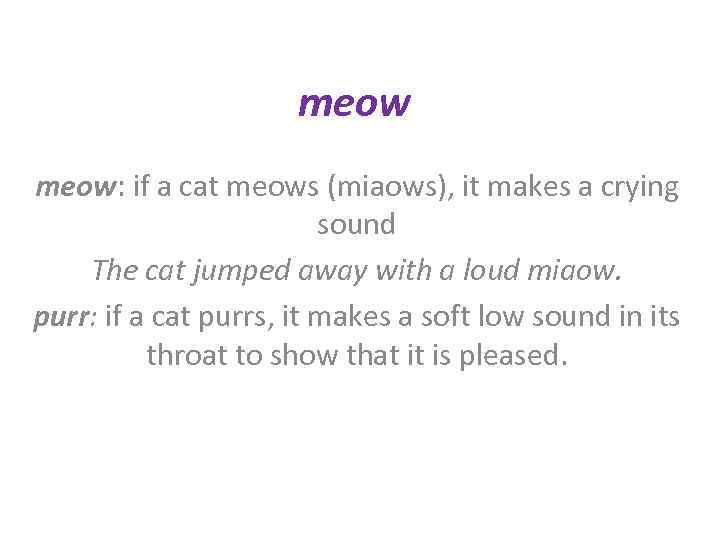meow: if a cat meows (miaows), it makes a crying sound The cat jumped