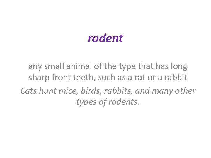 rodent any small animal of the type that has long sharp front teeth, such