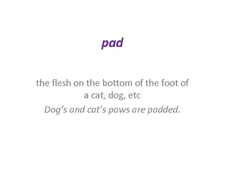 pad the flesh on the bottom of the foot of a cat, dog, etc