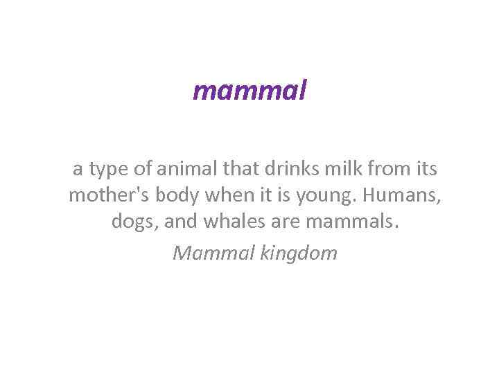 mammal a type of animal that drinks milk from its mother's body when it