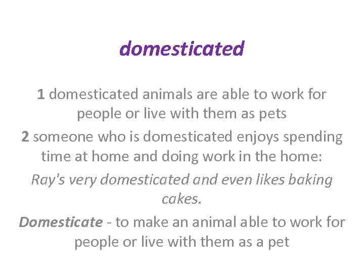 domesticated 1 domesticated animals are able to work for people or live with them