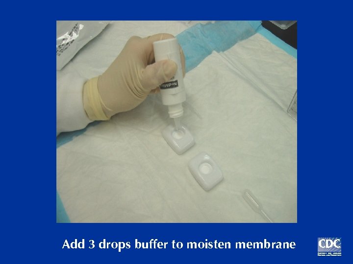 Add 3 drops buffer to moisten membrane 