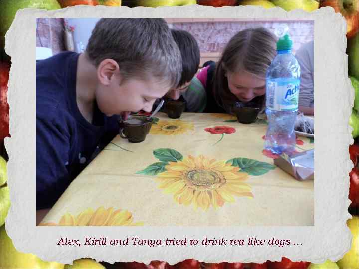 Alex, Kirill and Tanya tried to drink tea like dogs … 