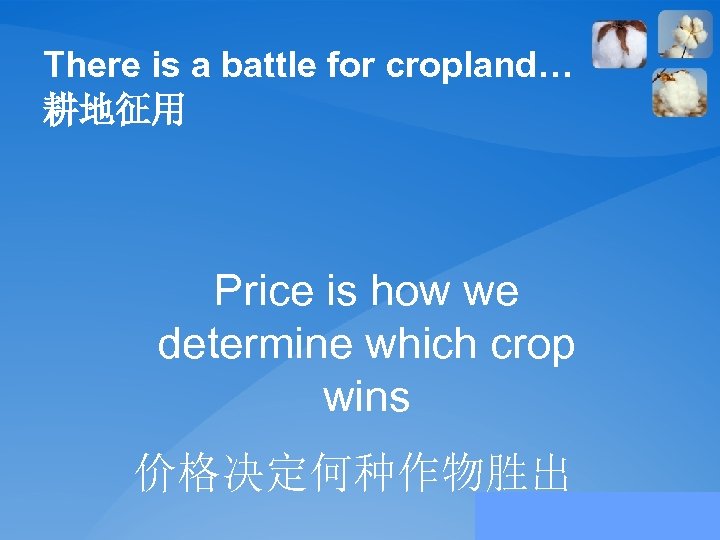 There is a battle for cropland… 耕地征用 Price is how we determine which crop