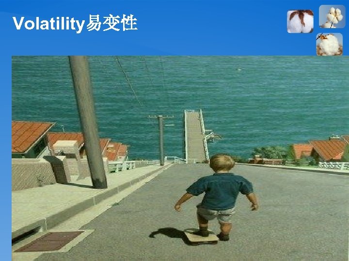 Volatility易变性 18 