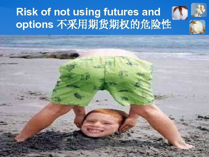 Risk of not using futures and options 不采用期货期权的危险性 21 