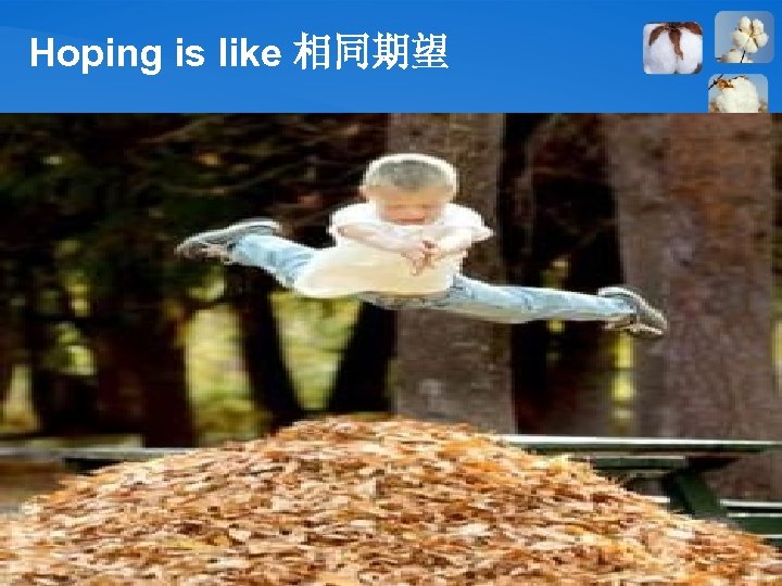 Hoping is like 相同期望 24 