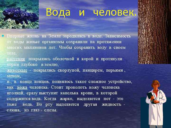 Вода и человек. Впервые жизнь на Земле зародилась в воде. Зависимость от воды живые
